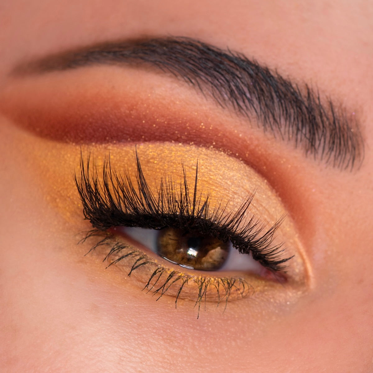 Sweet as Hunny - Lasting Expressive Beauty Favorites