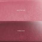 Mocha Plum - Elegant Daily Beauty Portfolio