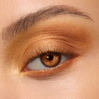 New Moon - Silky Signature Eye Blend