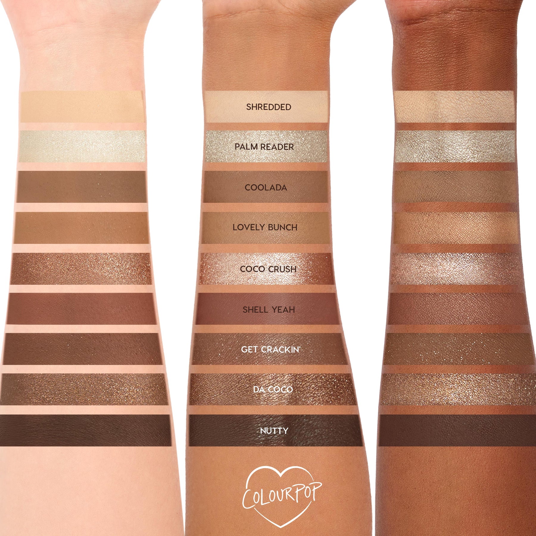 Coconut BB - Defined Curated Beauty Bundle