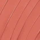 25/8 - Defined Inspired Cheek Highlight