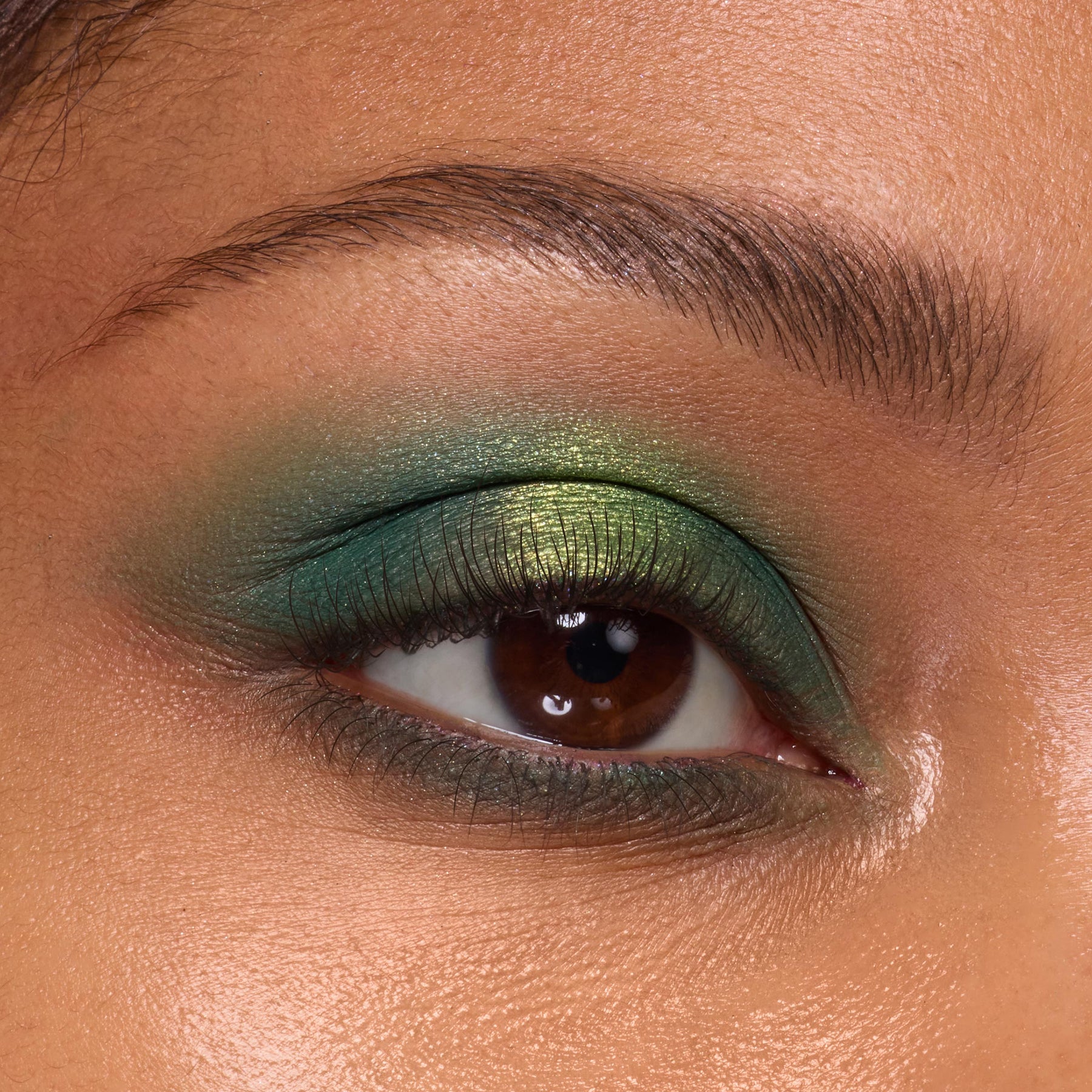 Rainbow Rush - Featherlight Elevated Beauty Set