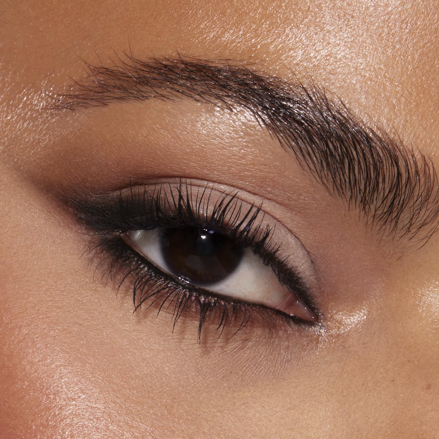 Stone Cold Fox - Shimmering Daily Eye Palette