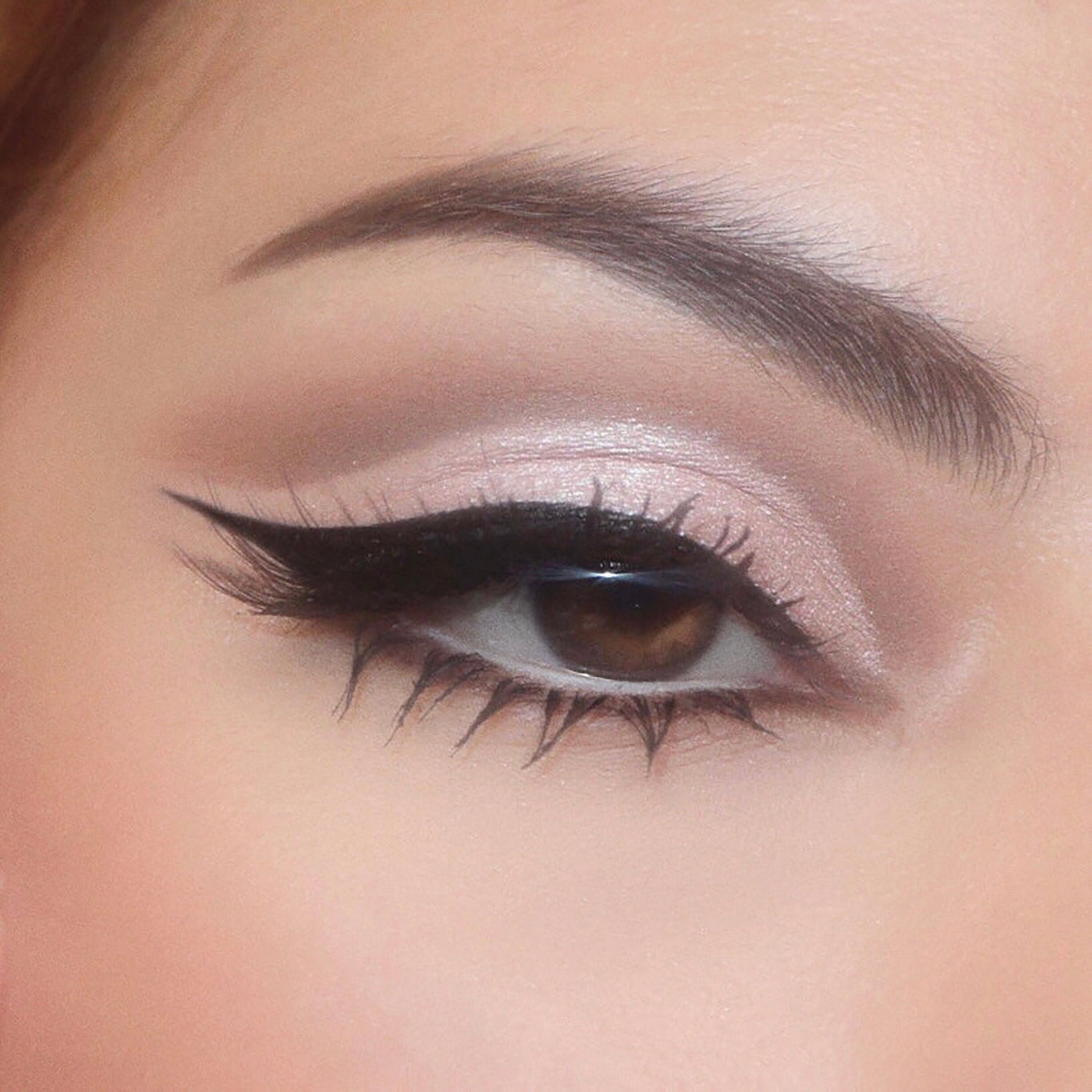 Stone Cold Fox - Shimmering Daily Eye Palette
