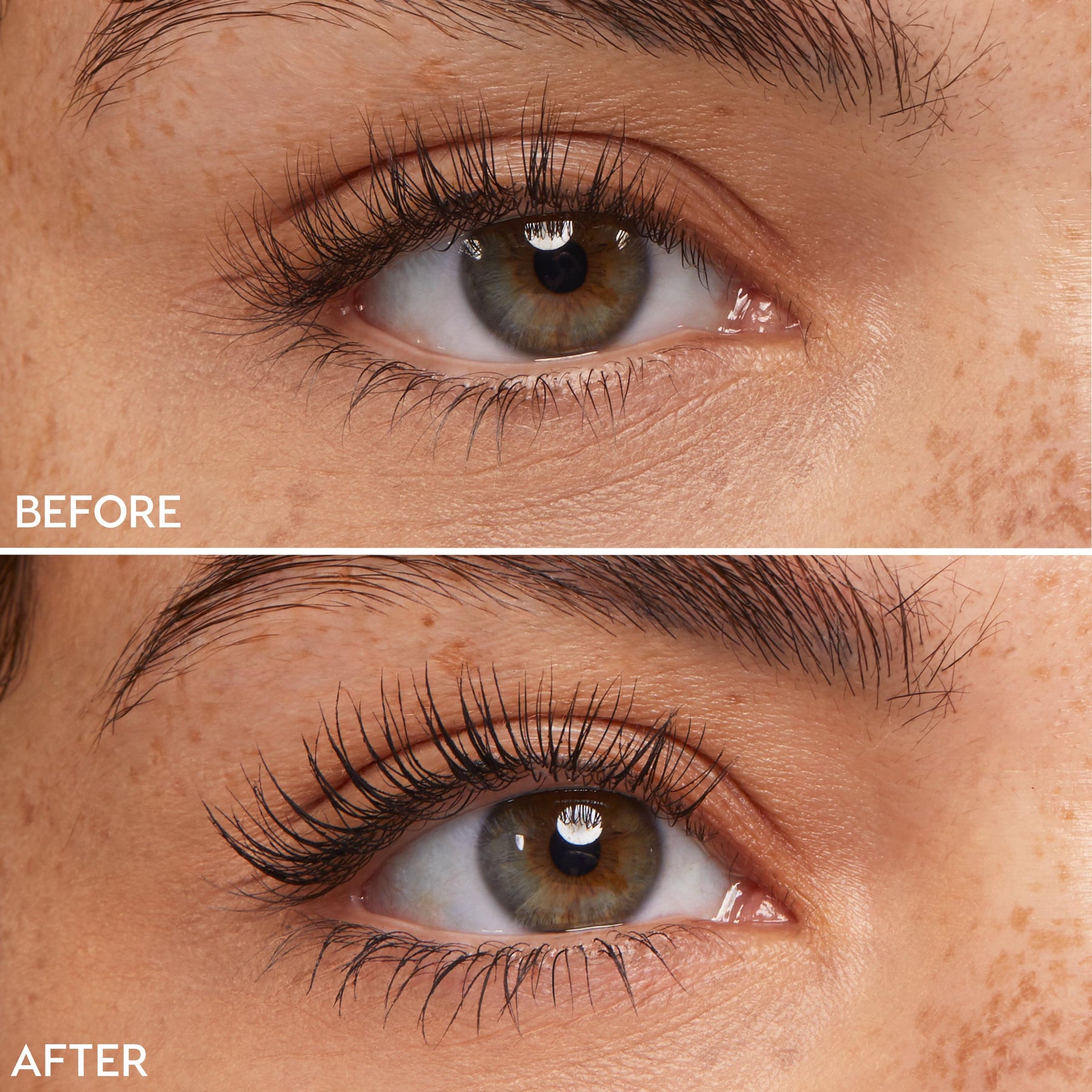 Black - Defined Confident Lash Look