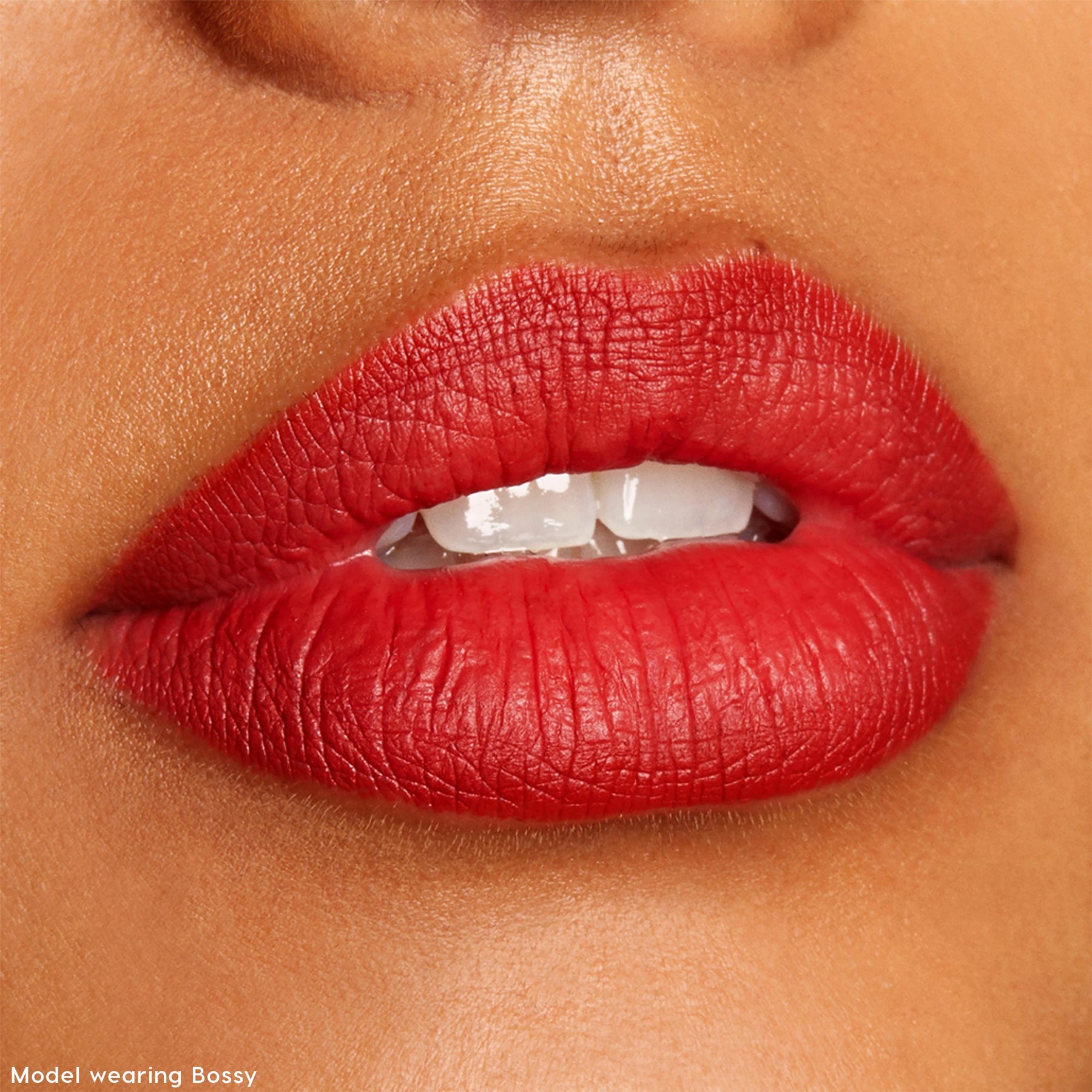 The Lil Box of Lippie Pencils - Pearlescent Complete Lip Style