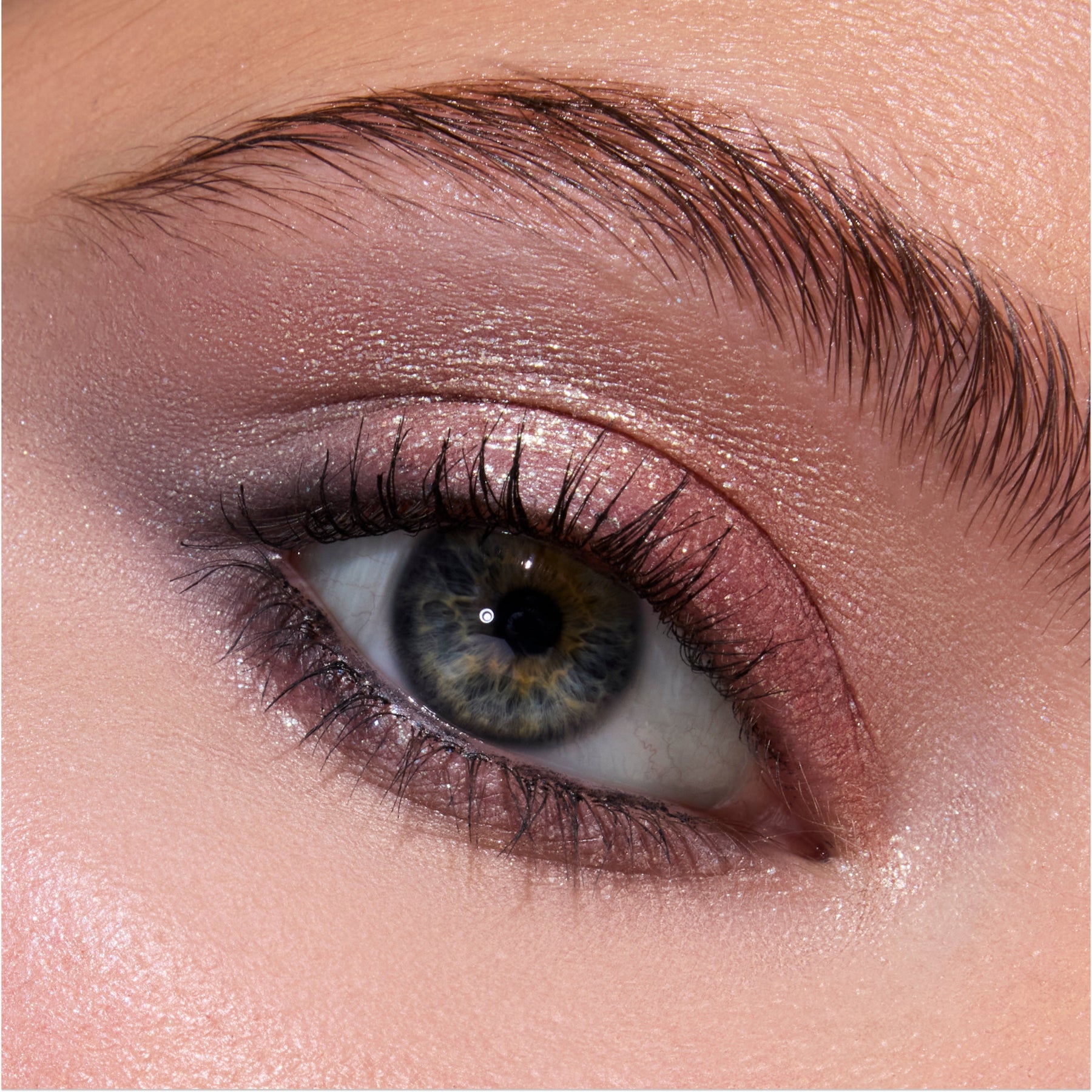 Cullen Coven - Defined Evening Eye Accent