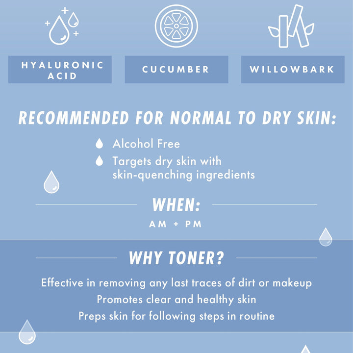 Waterfall Gentle Tonic - Restoring Complete Skin Cleanse