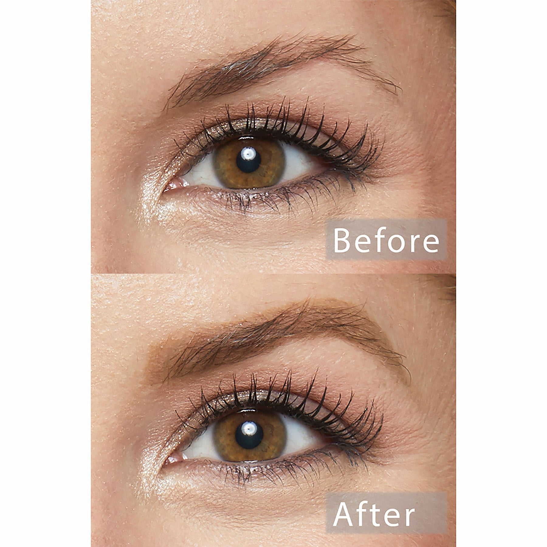 Black N' Brown Pencil - Silky Evening Brow Lift
